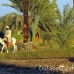 bank_west_lux_h_0001_egy2562.jpg